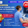 Practical Lower Limb Arterial Ultrasound: From Anatomy to Diagnosis
